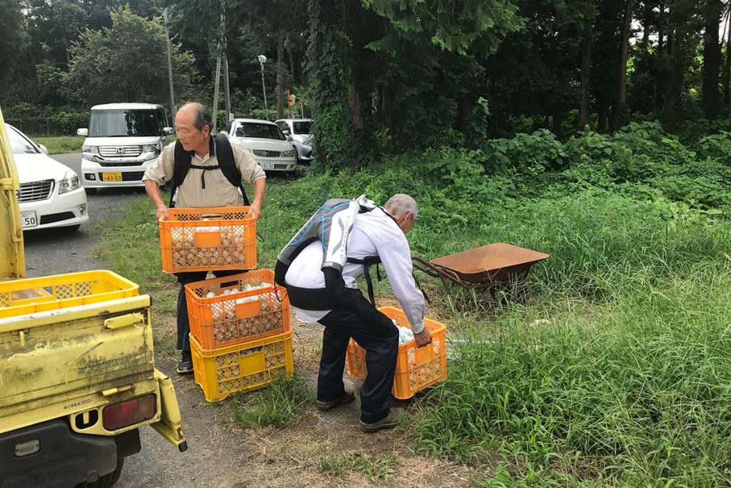 Batranii din Japonia poarta exoschelete pentru a putea continua sa munceasca