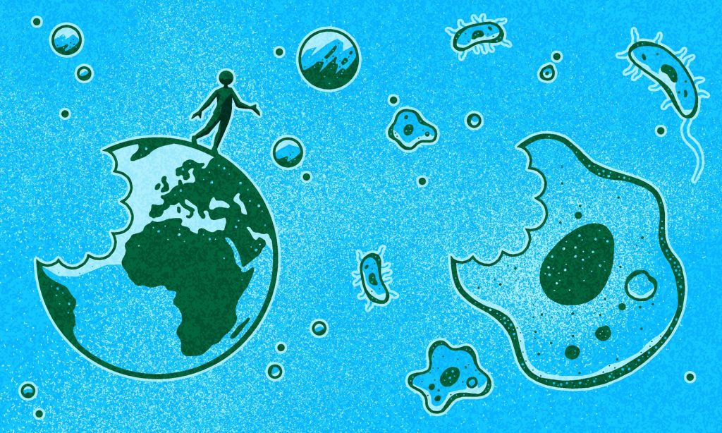 Alimente create in laborator - Sansa de a salva planeta de la extinctie