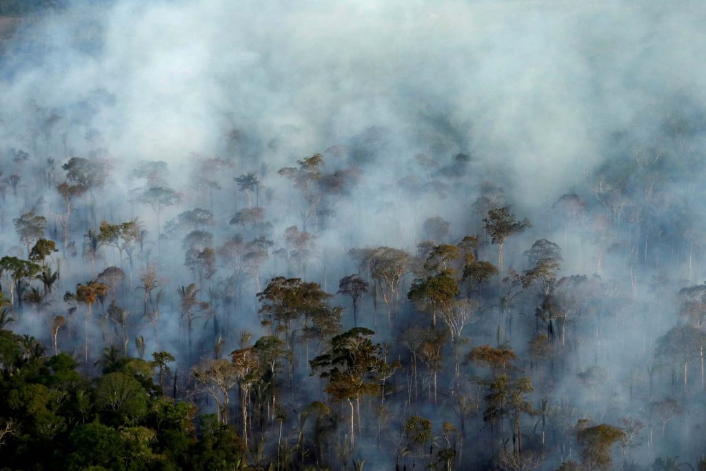 Padurea Amazoniana ar putea disparea in 50 de ani