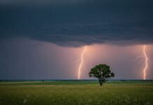 Cod galben de averse torențiale, vijelii și grindină în 13 județe din nordul țării, miercuri
